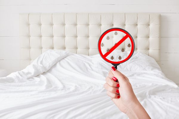 Ann Arbor Pest Control Service