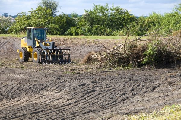 Ann Arbor Land Clearing