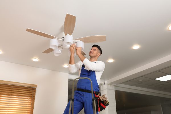 Ann Arbor Fan Electrical Service